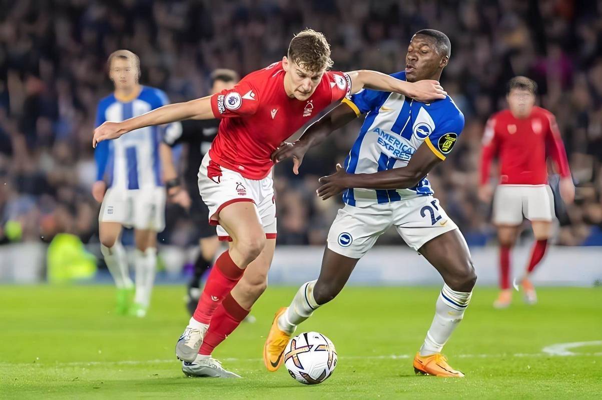 Milan Sports-布莱顿球队